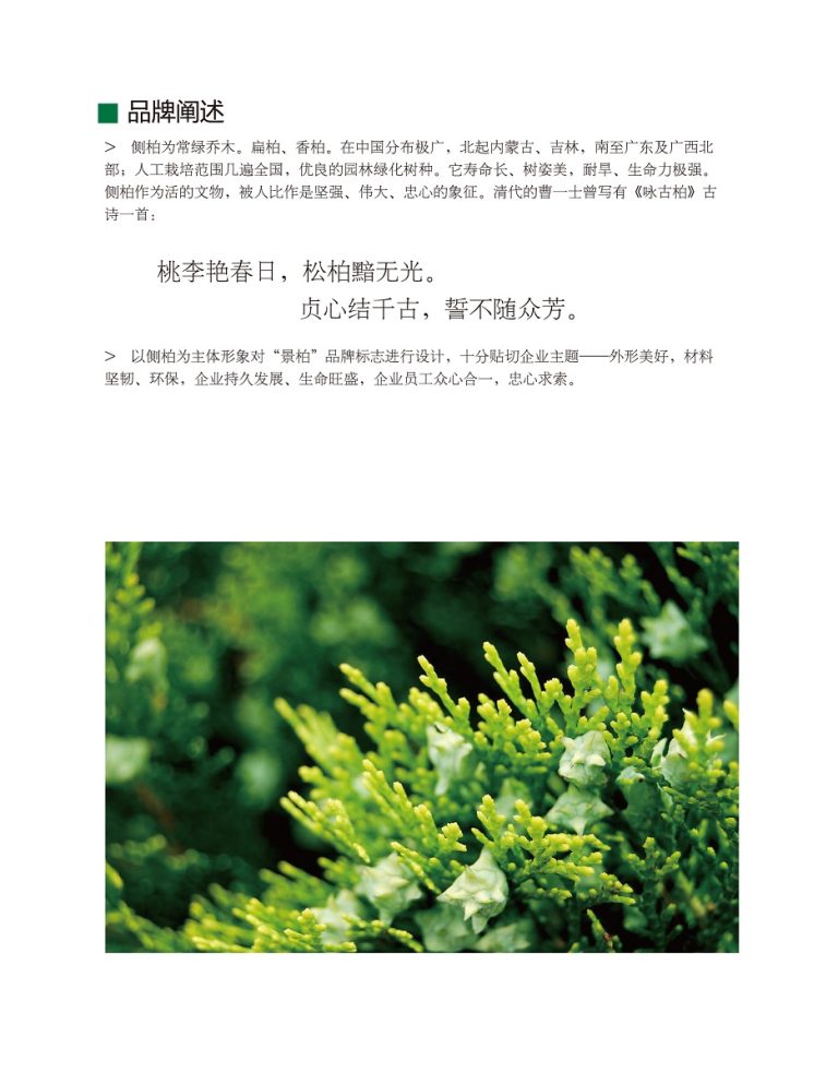 景柏品牌阐述